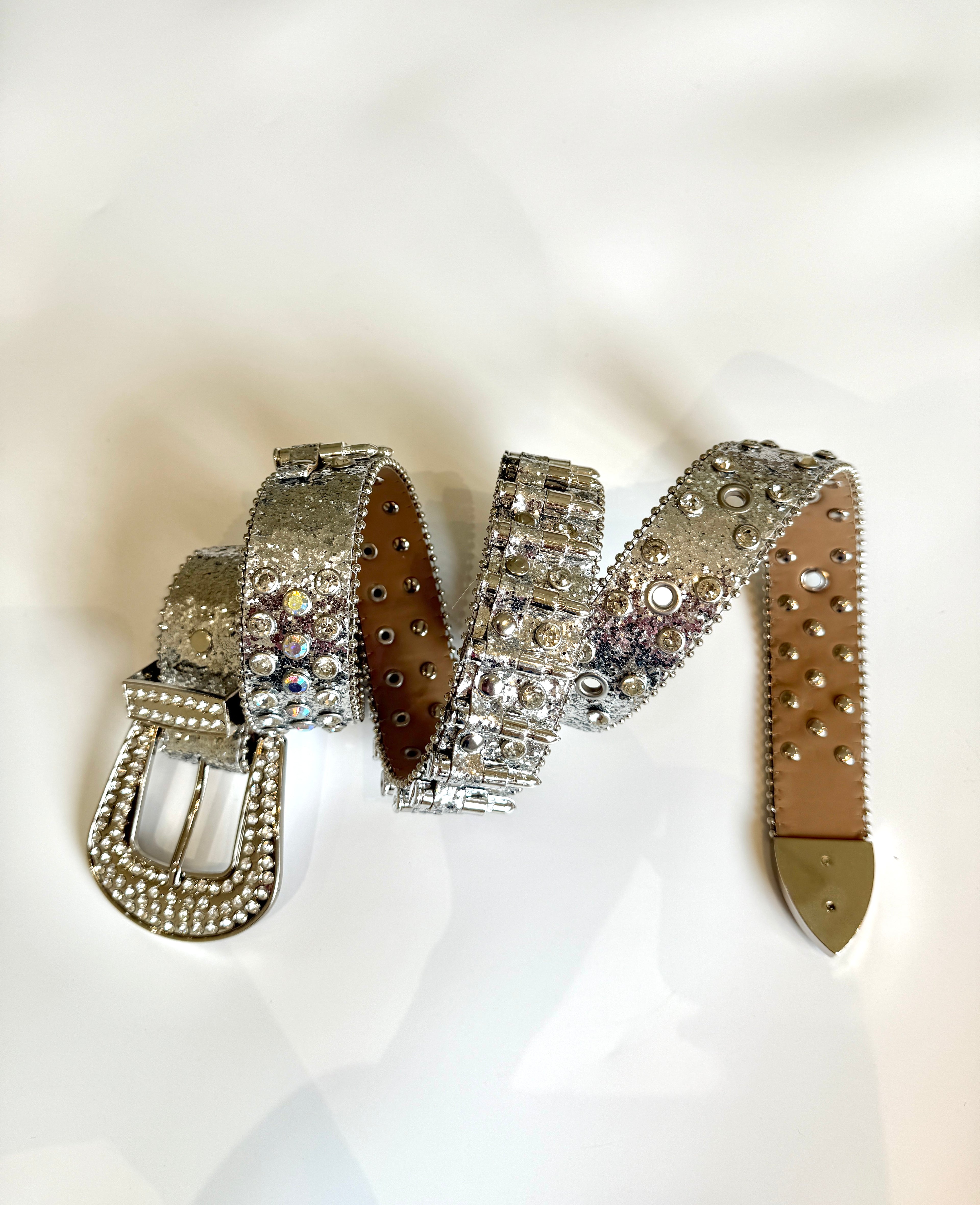 SILVER BULLET BELT ✮⋆˙